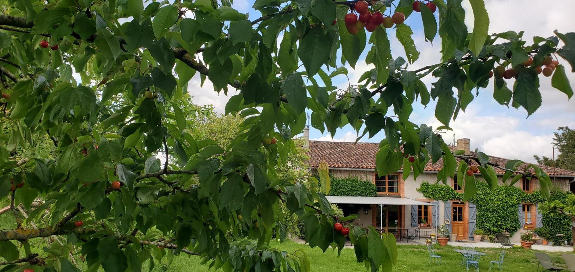 B&B La Ferme De Loubens Eksteriør bilde
